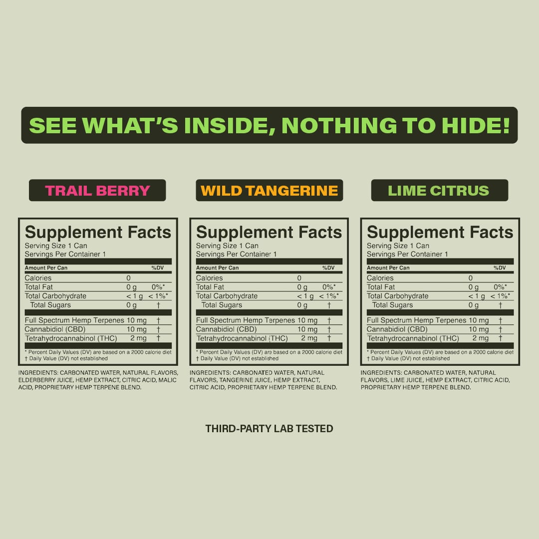 DownShift - Trail Berry